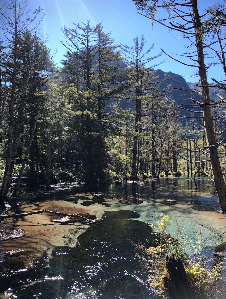 岳沢湿原