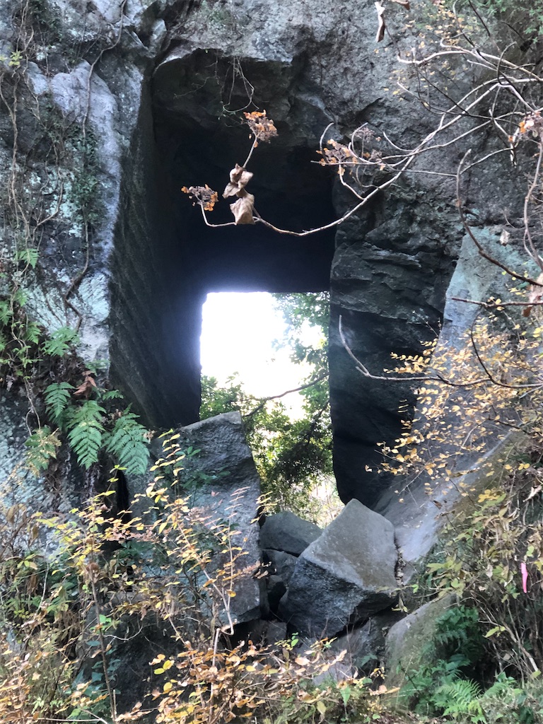 次々に現れる驚くような光景。