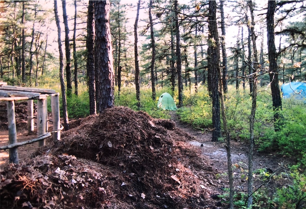 トラッカーとグランドファーザー。 - おきらくごくらく。