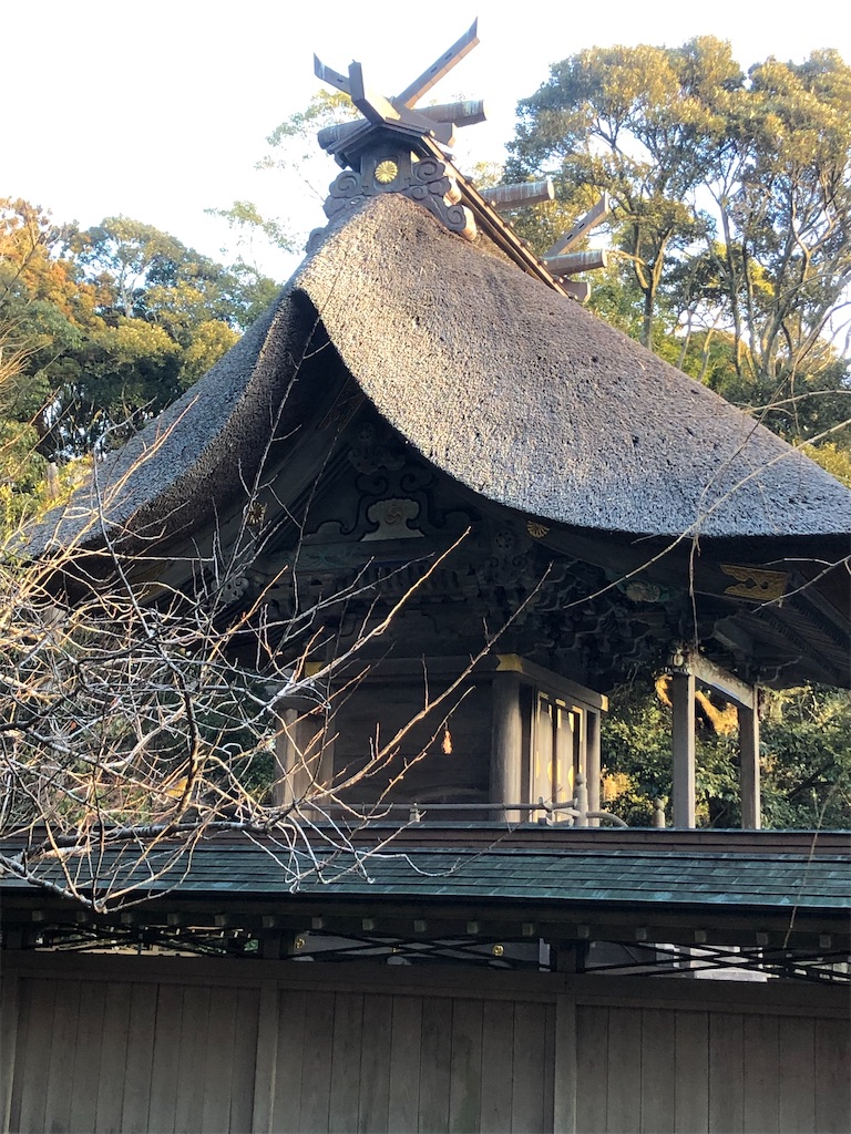 非常に珍しい波のような本殿の茅葺き屋根。