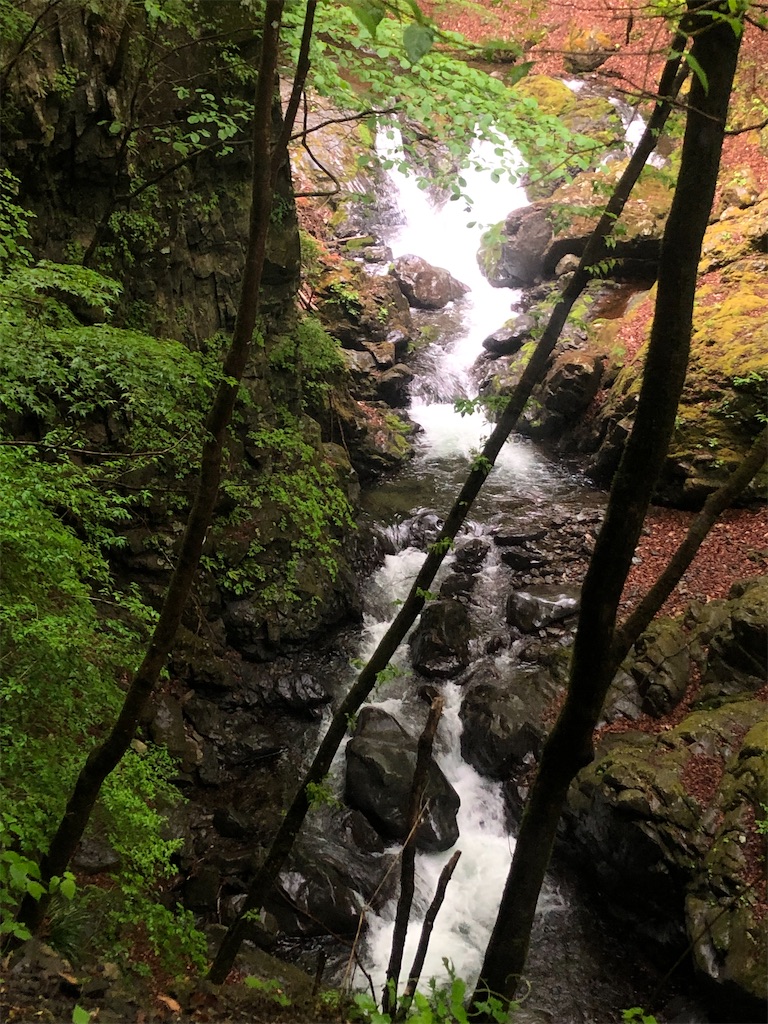 青岩谷に続く沢