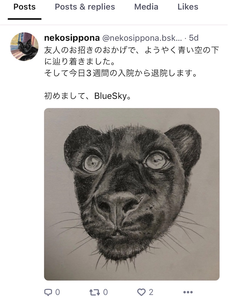 ブルースカイの新アカウント