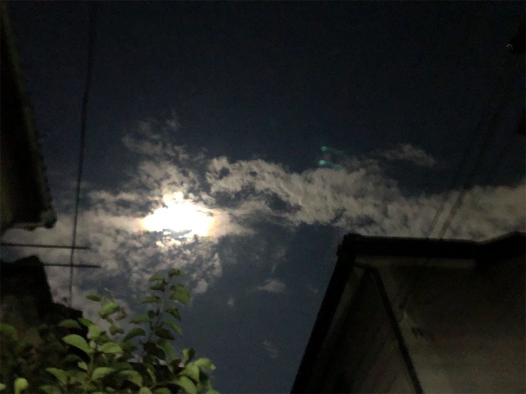 f:id:nekosippona:20240918184146j:image