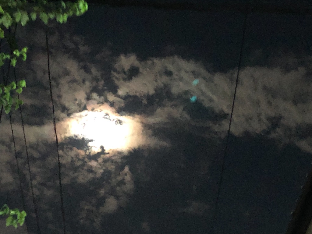f:id:nekosippona:20240918184428j:image
