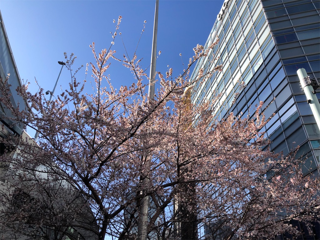 東京駅周辺