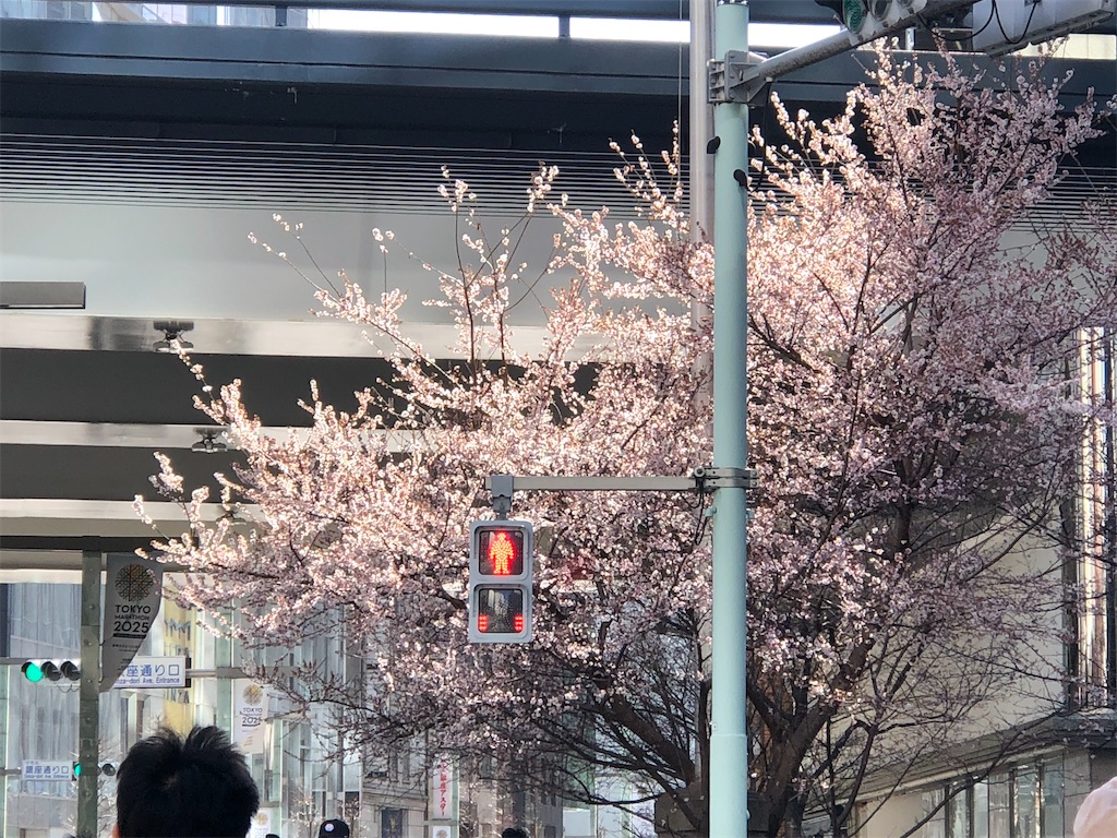 東京駅周辺