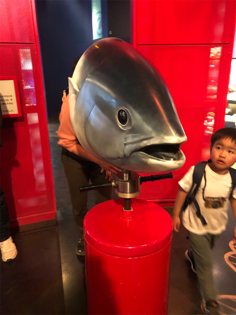 魚の視野体験
