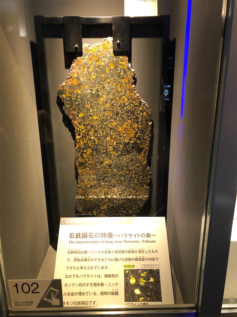 パラサイト隕石