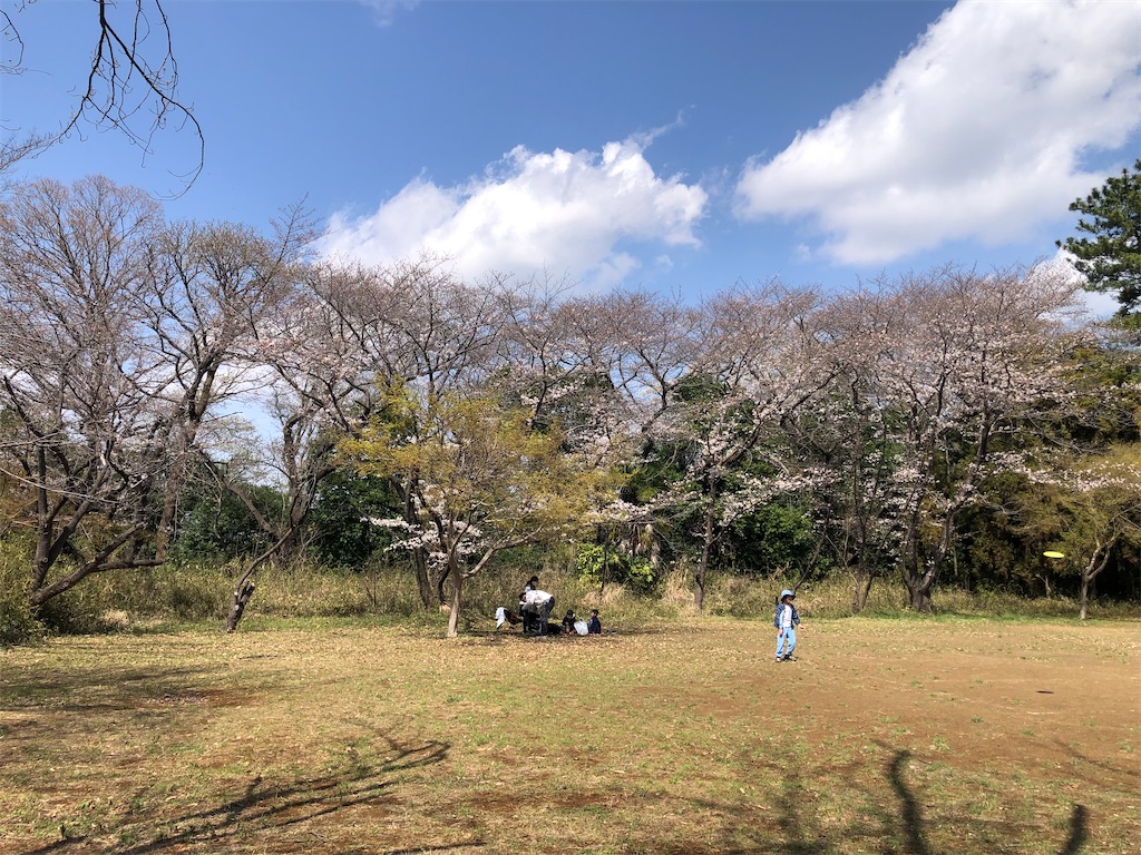 秘密のお花見