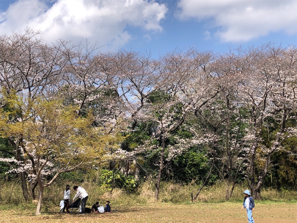 秘密のお花見