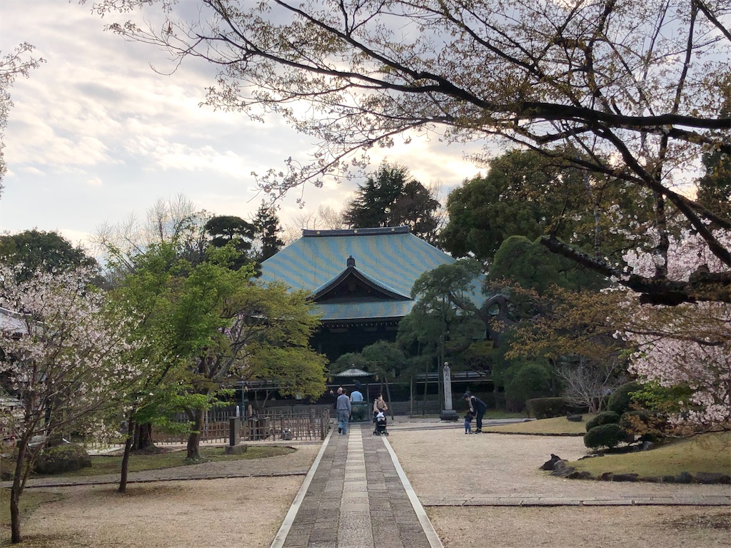 秘密のお花見