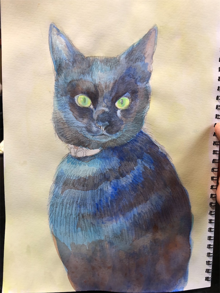 黒猫ゴウラン