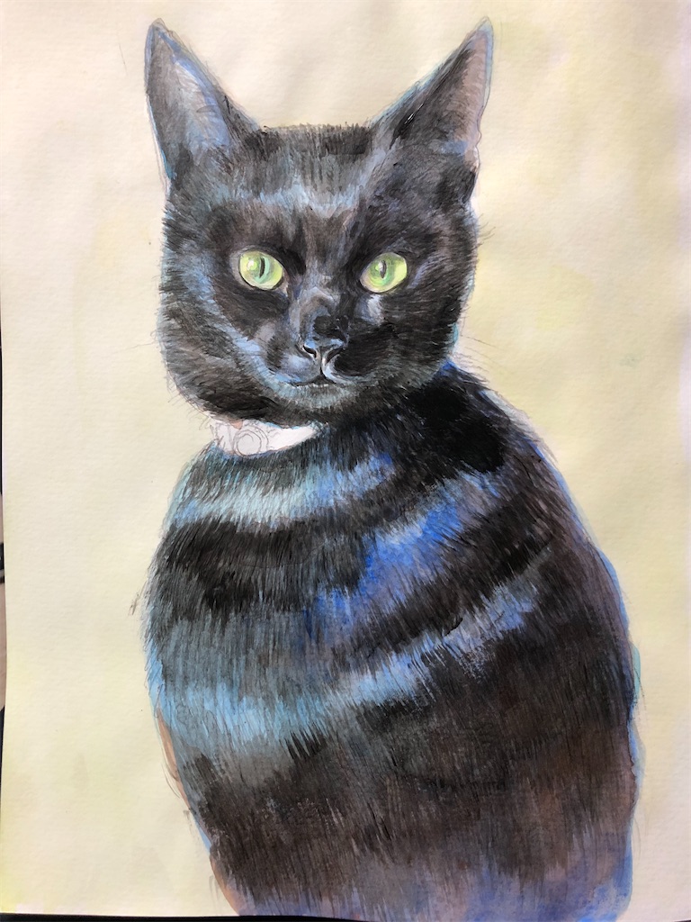 黒猫ゴウラン