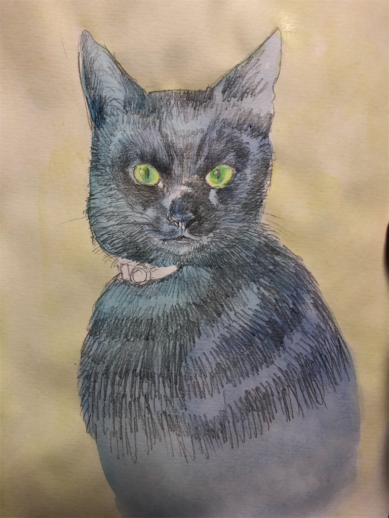 黒猫ゴウラン