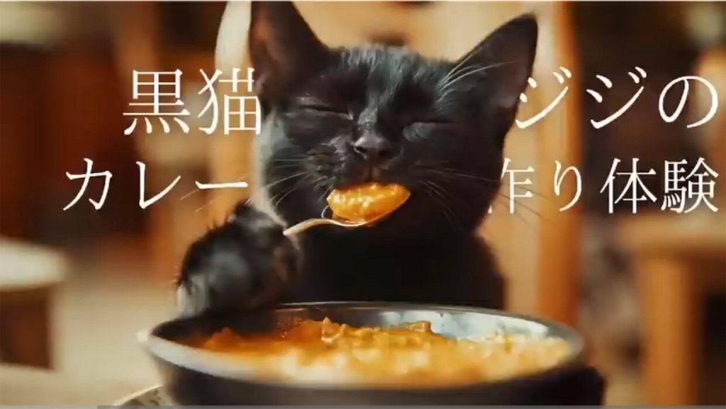 f:id:nekosippona:20250423152227j:image