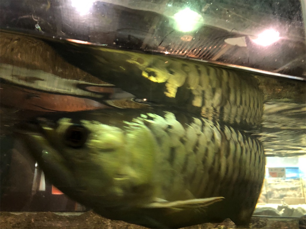 足立区生物園