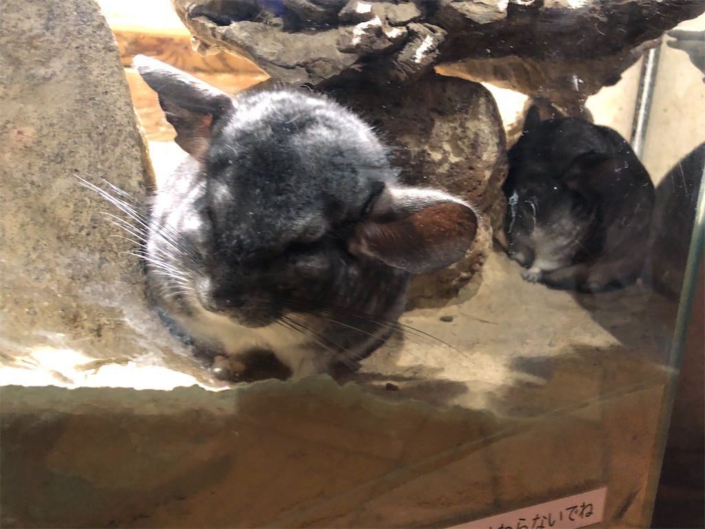 足立区生物園