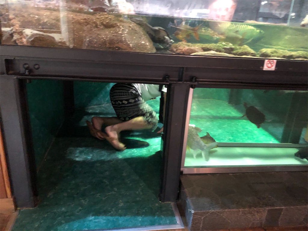 足立区生物園