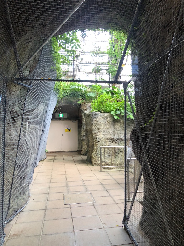 トンネル