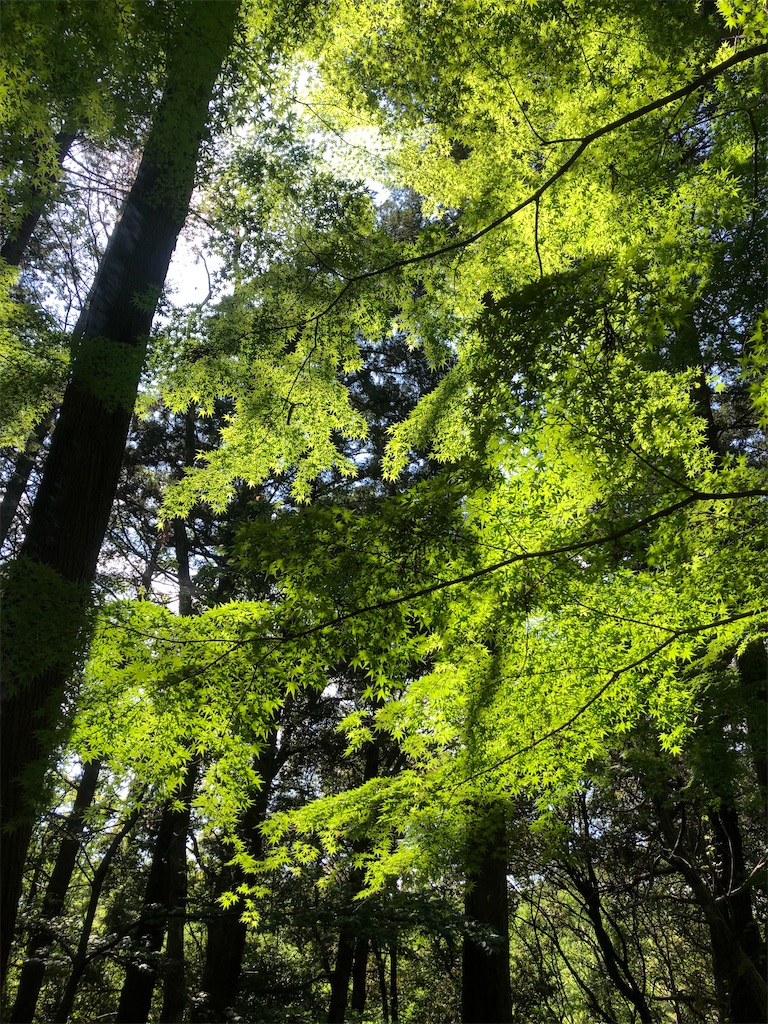 小さな山