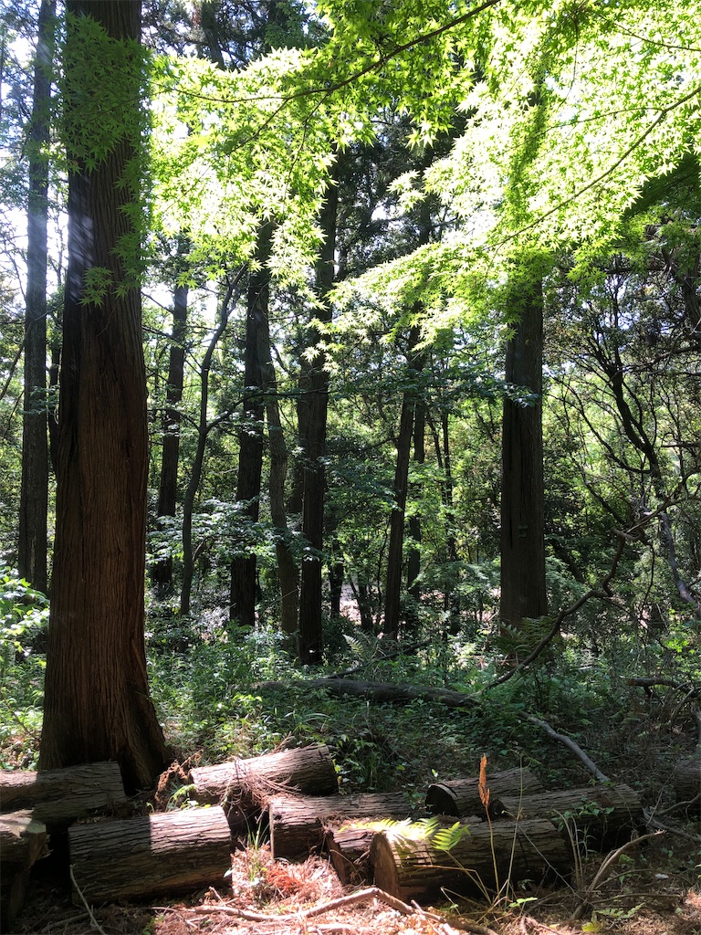 小さな山