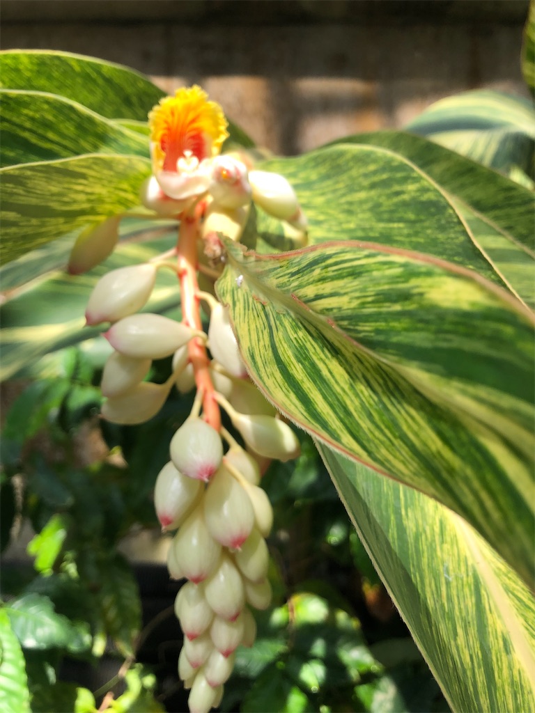 動植物園