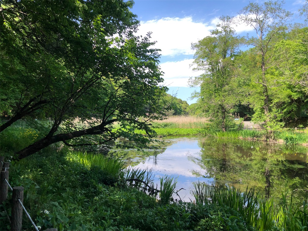 自然公園