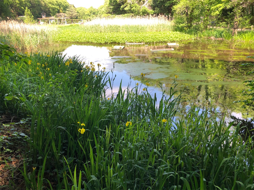 自然公園