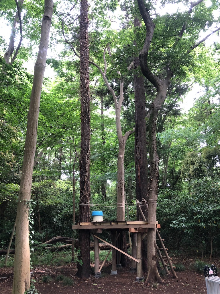 オープンフォレスト