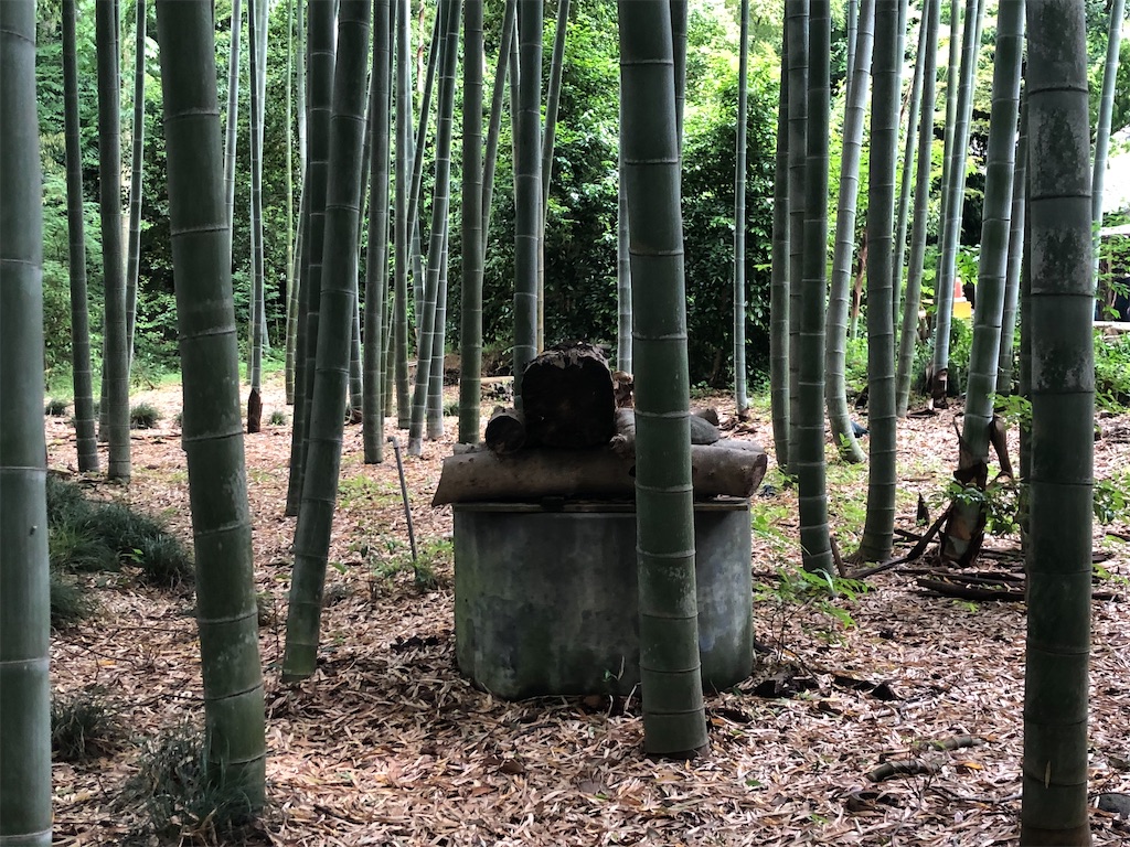 オープンフォレスト