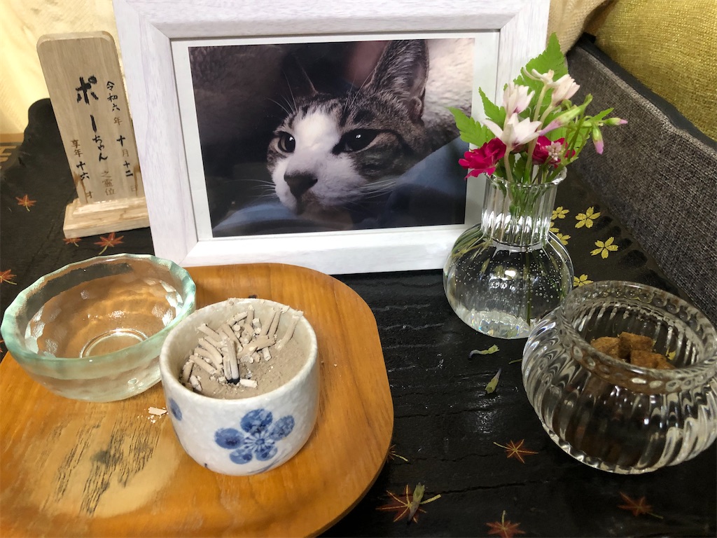 オス猫ぽーちゃんの仏壇