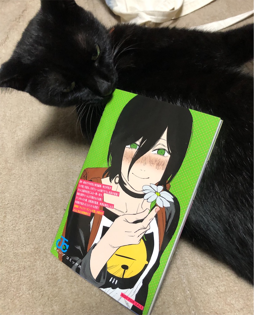 特典に齧り付く黒猫