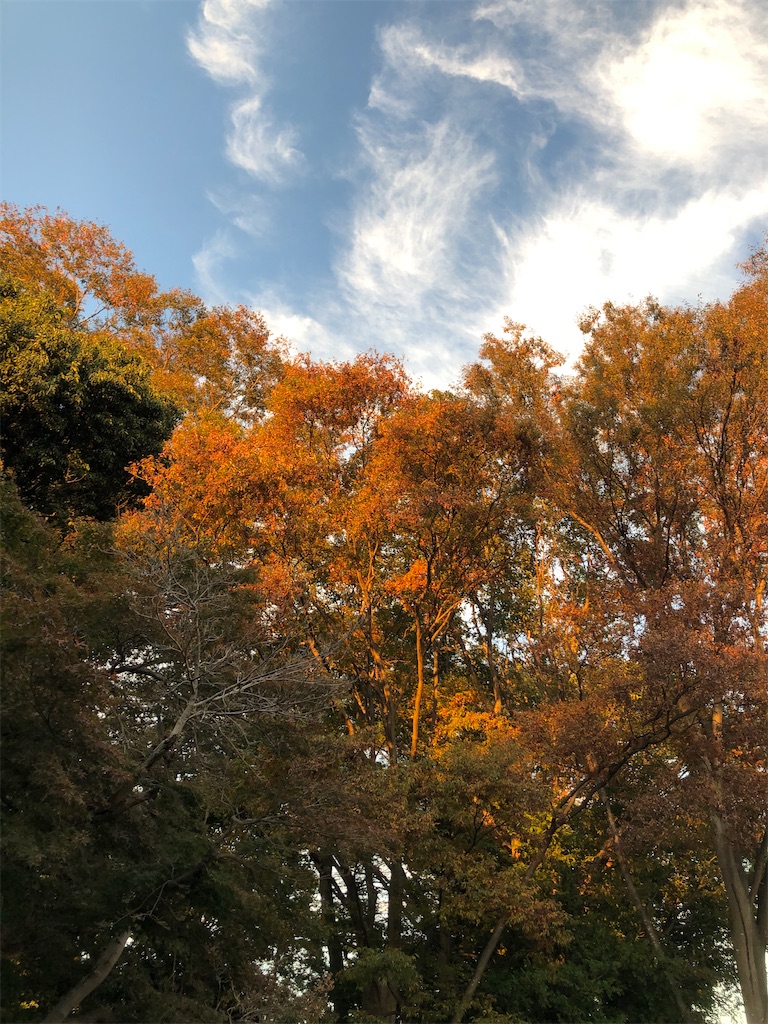 神社の紅葉