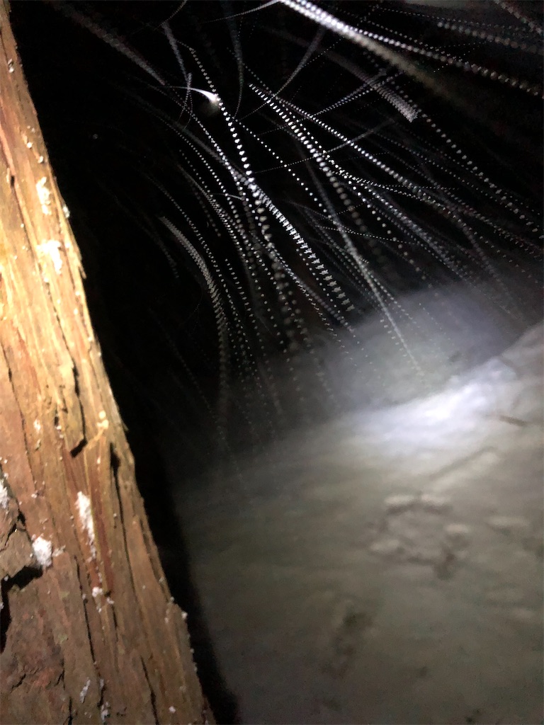 雪の降り頻る夜