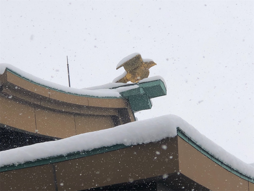 雪の中に輝く金のトビ