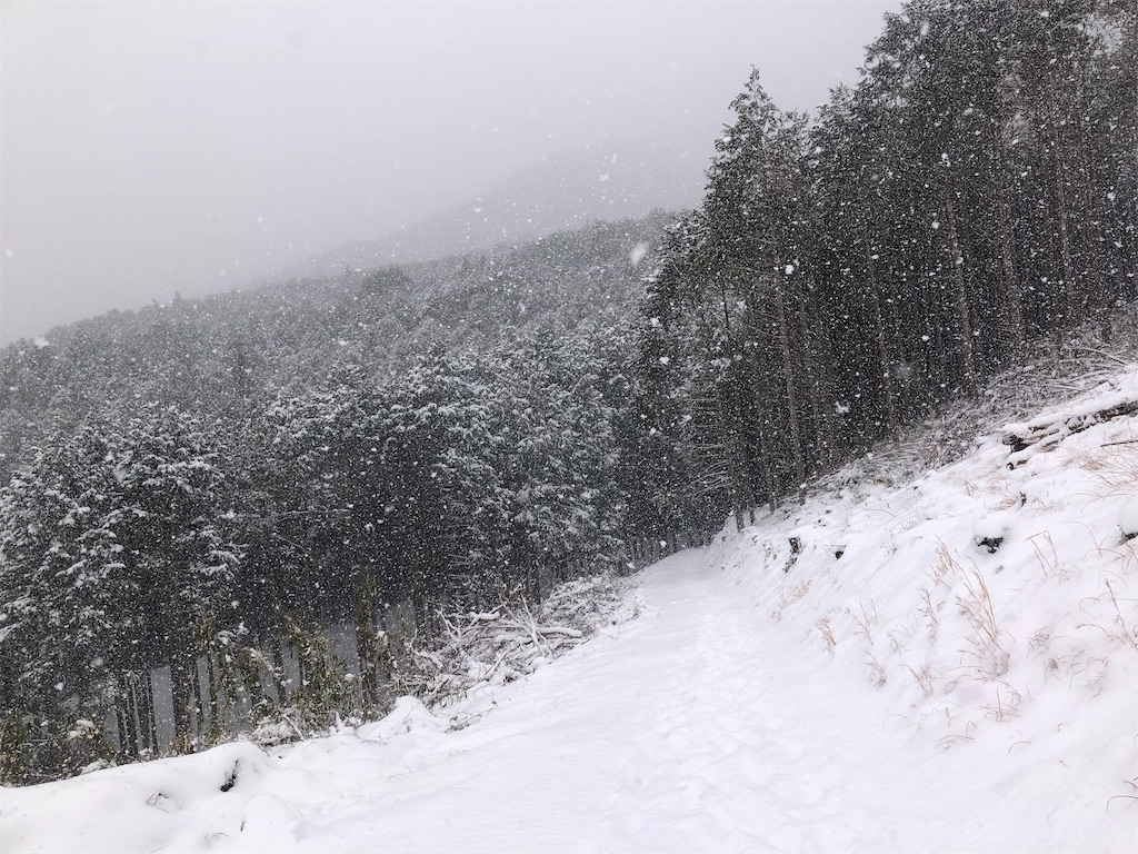 降りしきる雪