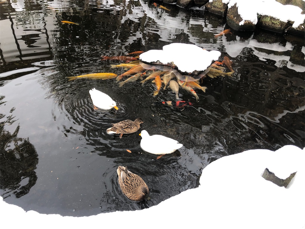 雨引山　楽法寺