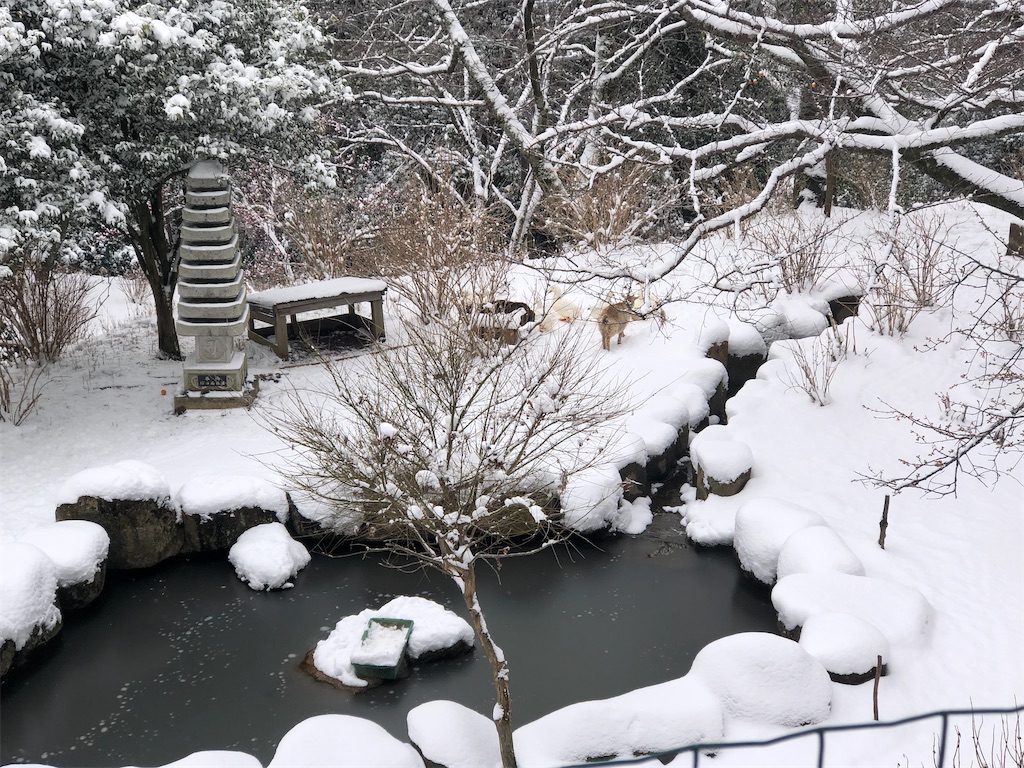 雨引山　楽法寺
