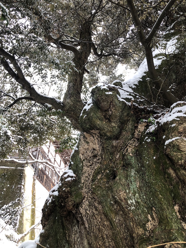雨引山　楽法寺