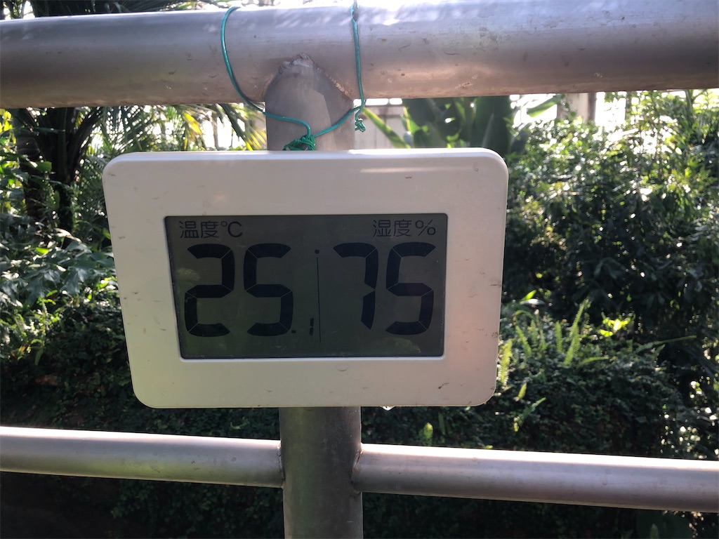 室温２５度、湿度７５％