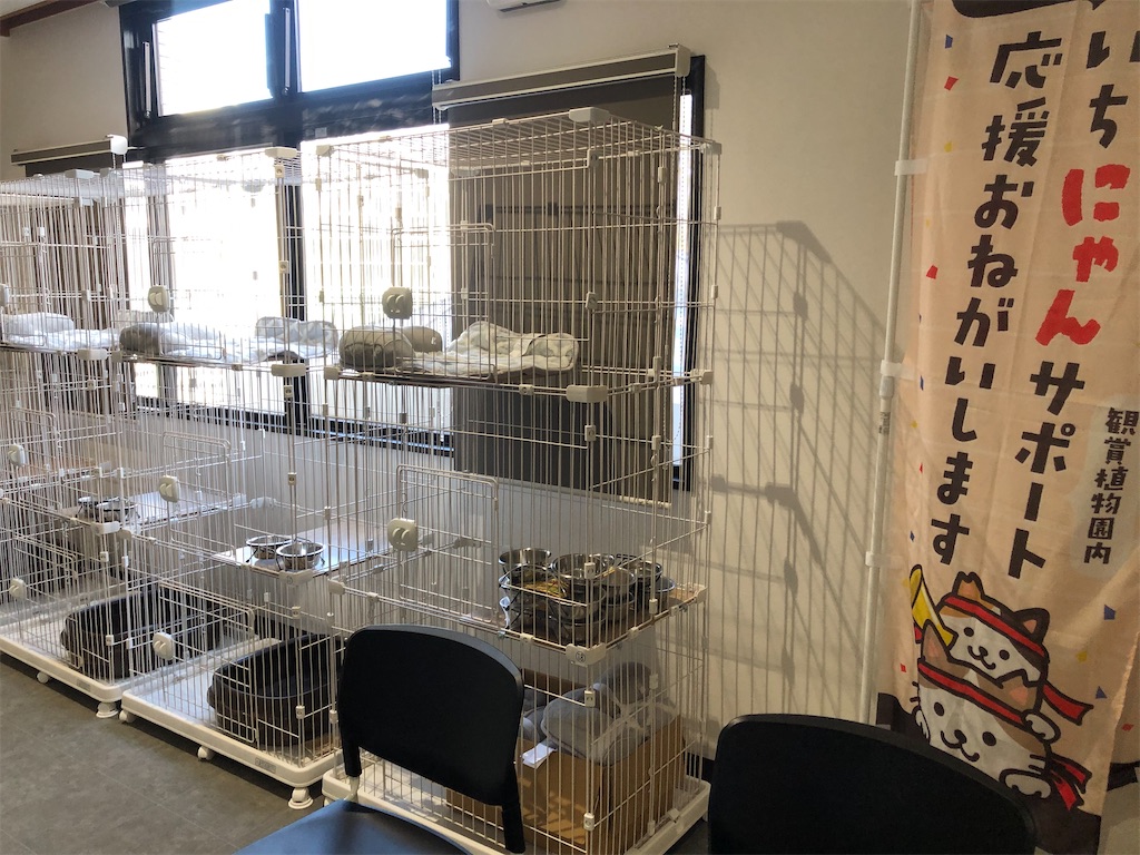 市川動植物園　保護猫センター