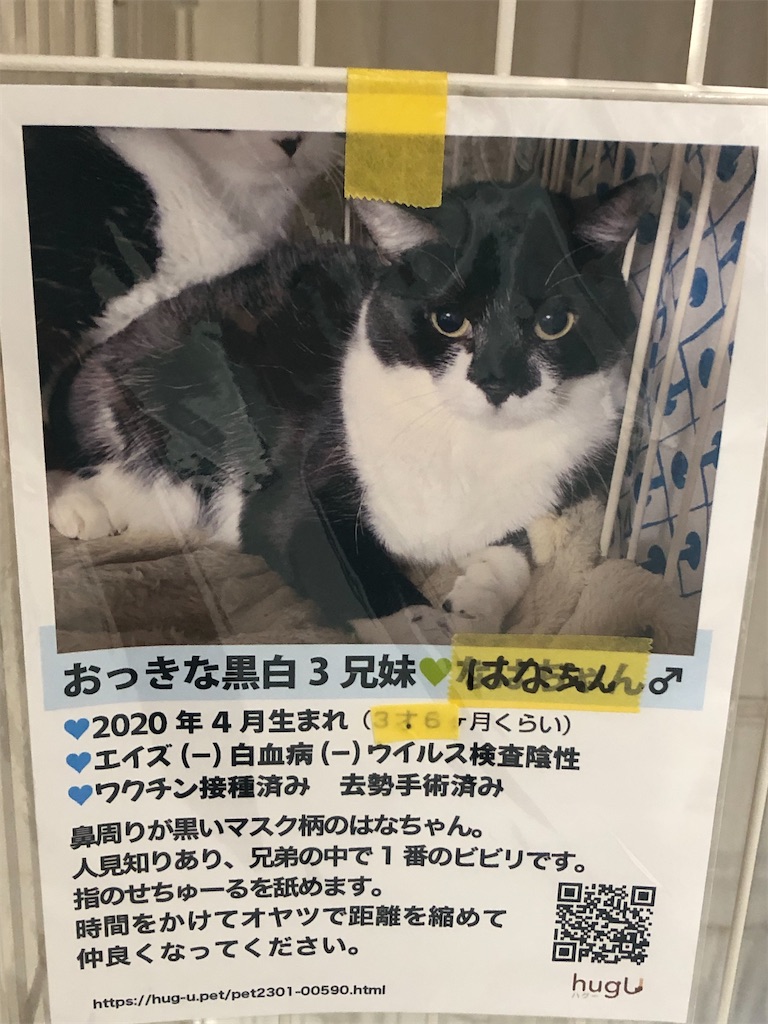 はなちゃんのプロフィール
