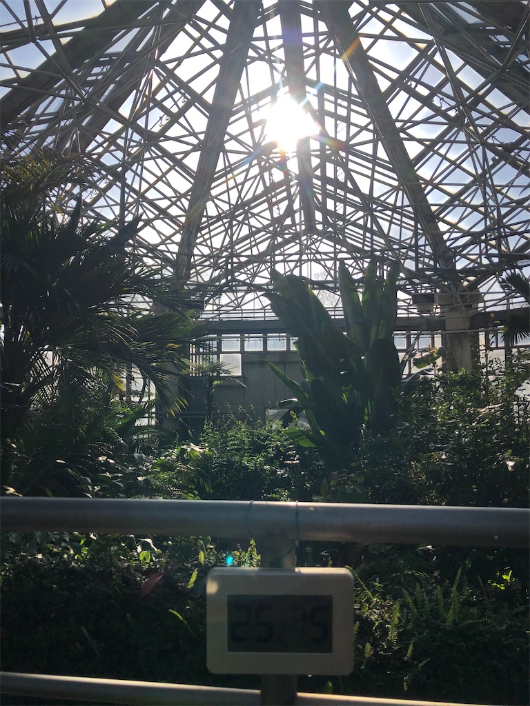 大温室の中