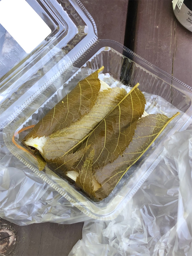 森林総合研究所で買った桜餅