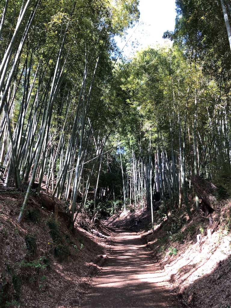 滝山城趾