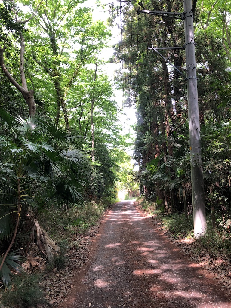 田舎道