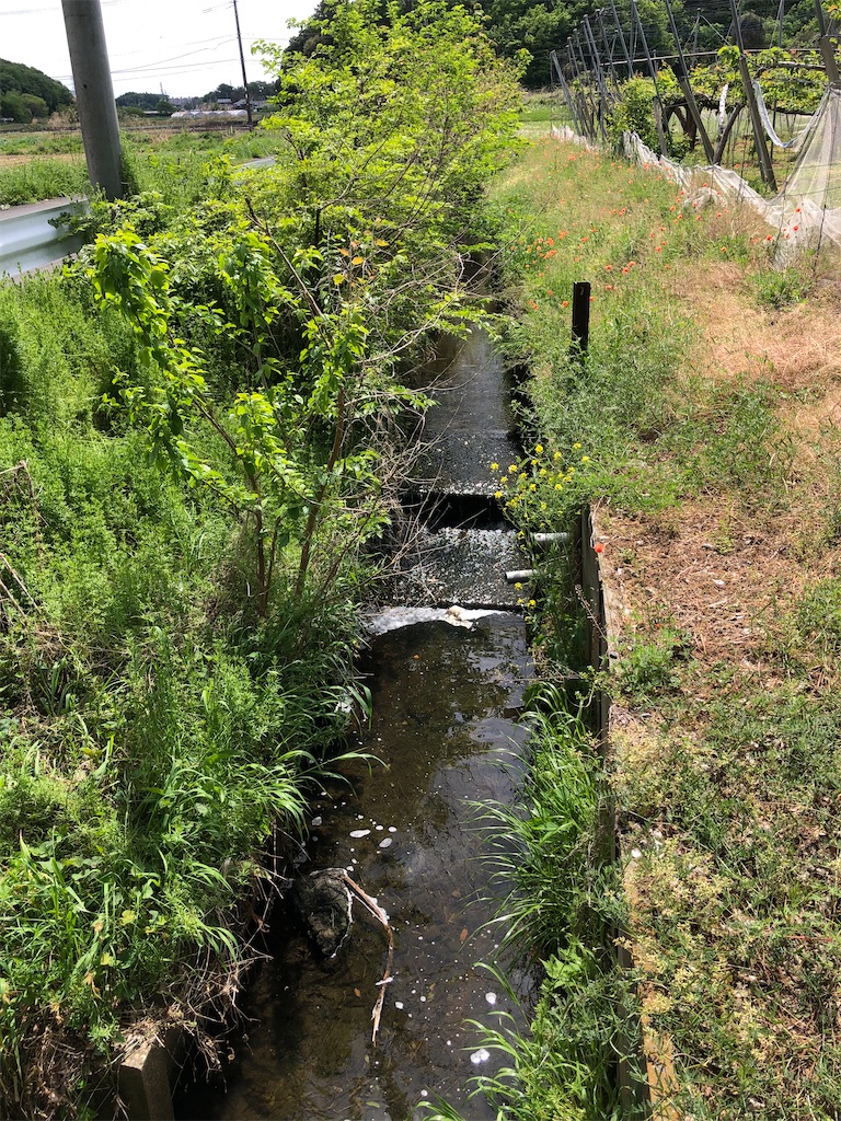 水路