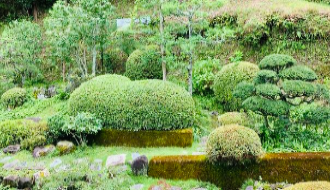 f:id:nekosleep:20220302173406p:plain