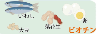 f:id:nekosleep:20220325204516p:plain