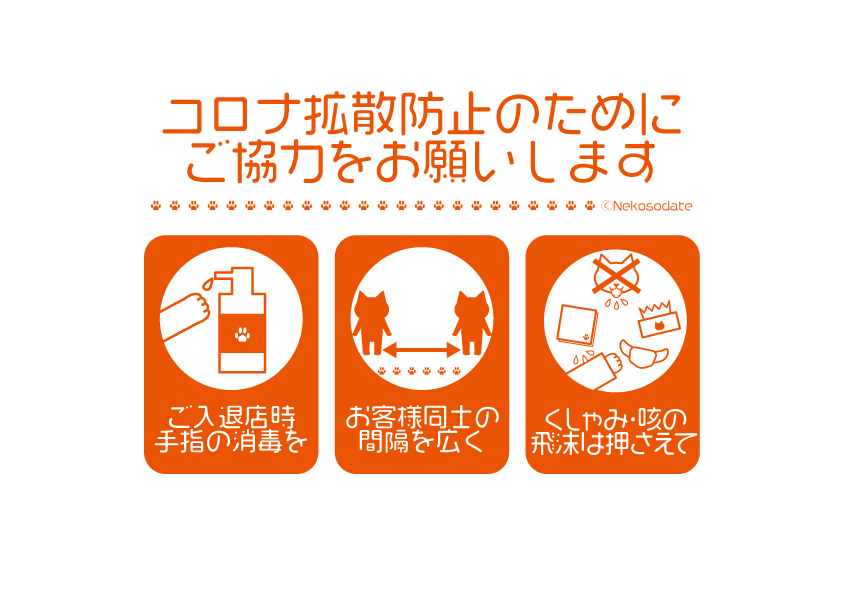 f:id:nekosodate:20200411013002j:plain f:id:nekosodate:20200411013002j:plain